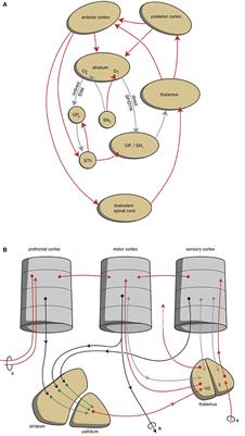 Circuits Regulating Pleasure and Happiness—Mechanisms of Depression